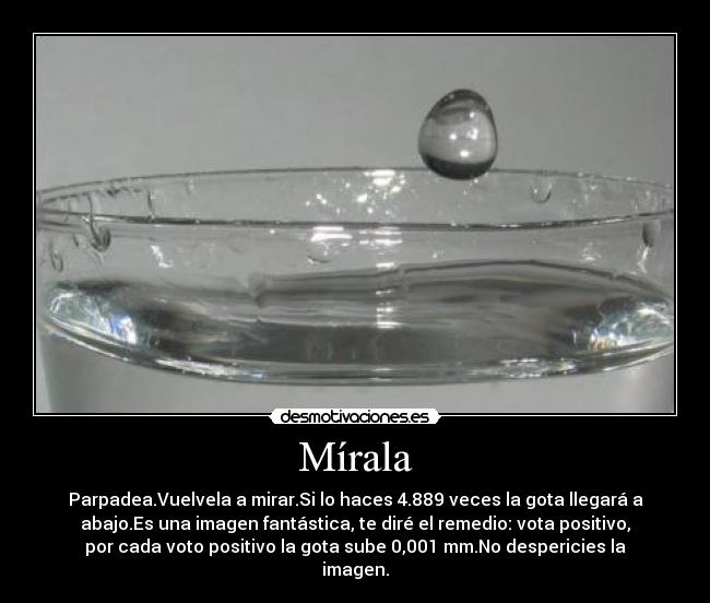 Mírala - Parpadea.Vuelvela a mirar.Si lo haces 4.889 veces la gota llegará a
abajo.Es una imagen fantástica, te diré el remedio: vota positivo,
por cada voto positivo la gota sube 0,001 mm.No despericies la
imagen.