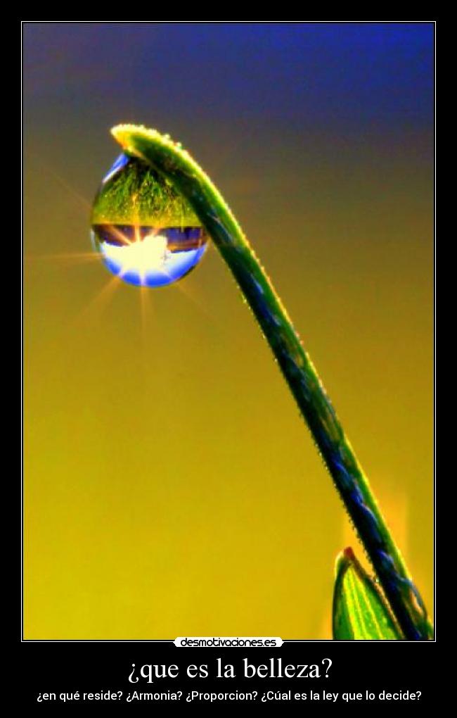 ¿que es la belleza? - 
