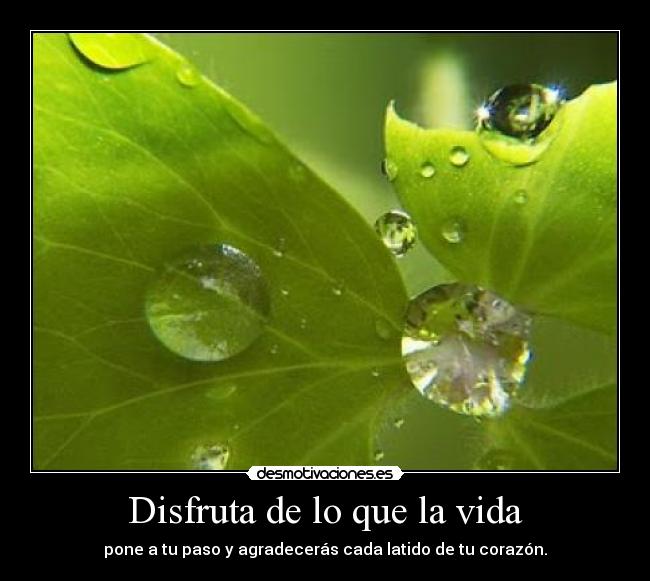 Disfruta de lo que la vida -