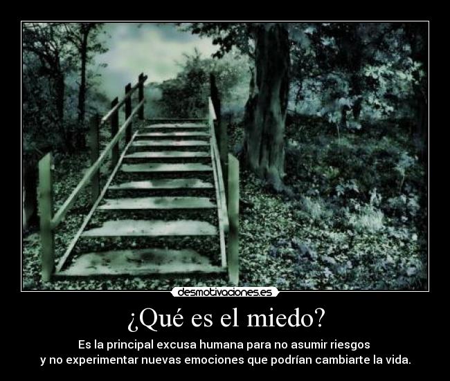 ¿Qué es el miedo? - Es la principal excusa humana para no asumir riesgos 
y no experimentar nuevas emociones que podrían cambiarte la vida.