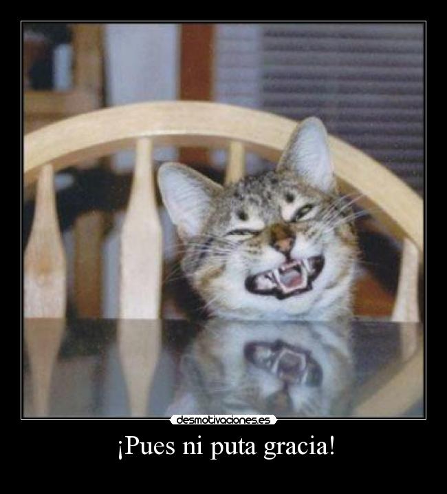 ¡Pues ni puta gracia! -