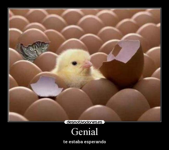 Genial - te estaba esperando