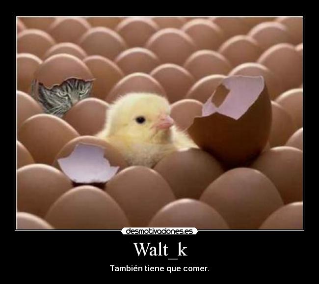 Walt_k -