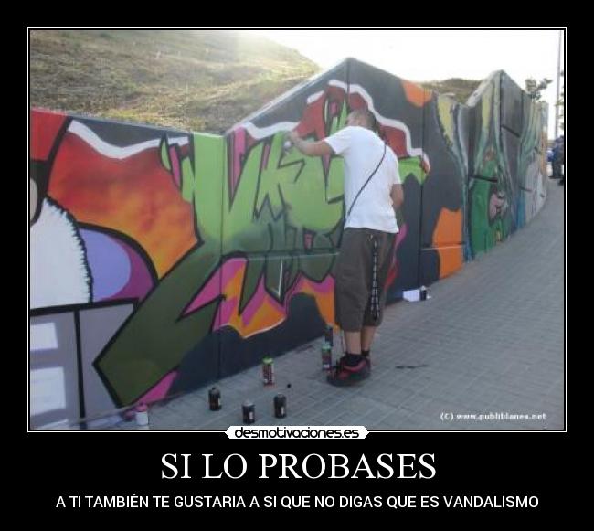 SI LO PROBASES -