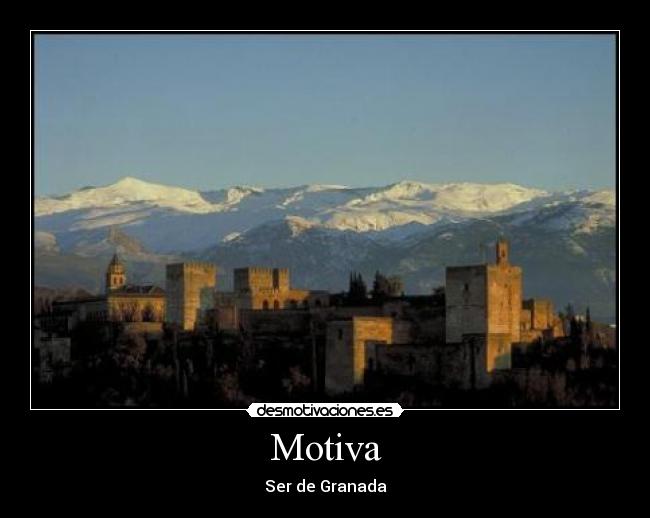 Motiva - 