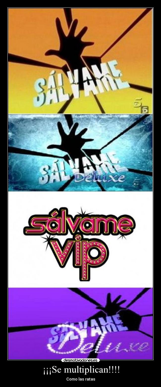 ¡¡¡Se multiplican!!!! - Como las ratas