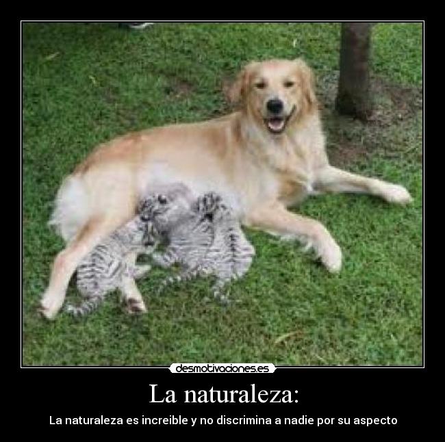 La naturaleza: -