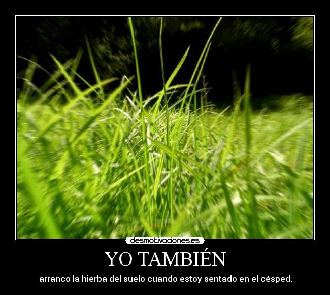 YO TAMBIÉN -