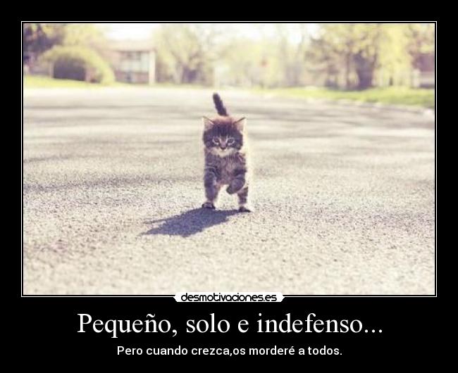 Pequeño, solo e indefenso... -
