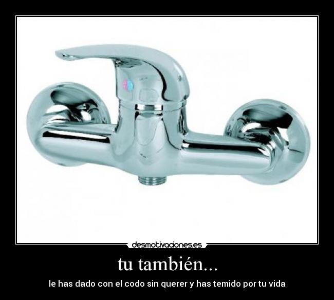 tu también... -