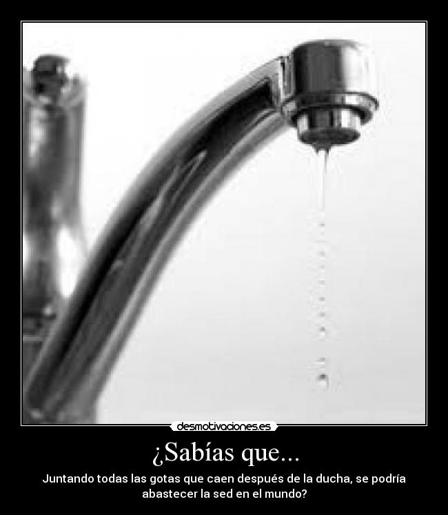¿Sabías que... - 