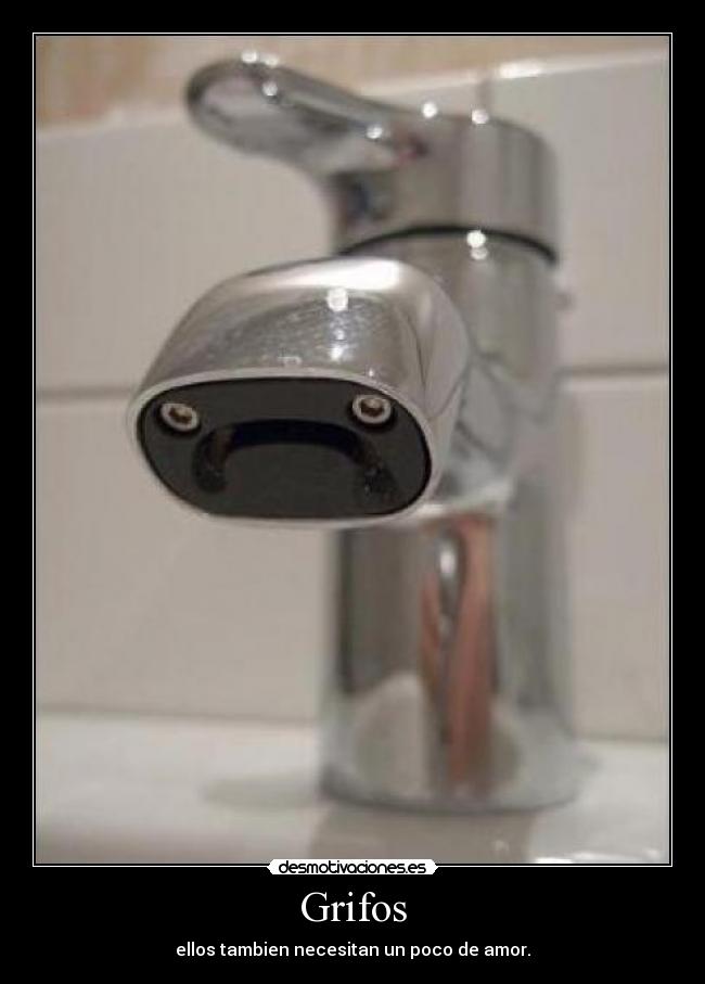Grifos - ellos tambien necesitan un poco de amor.