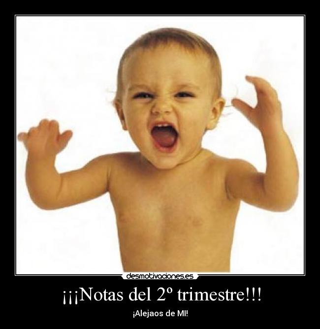 ¡¡¡Notas del 2º trimestre!!! -