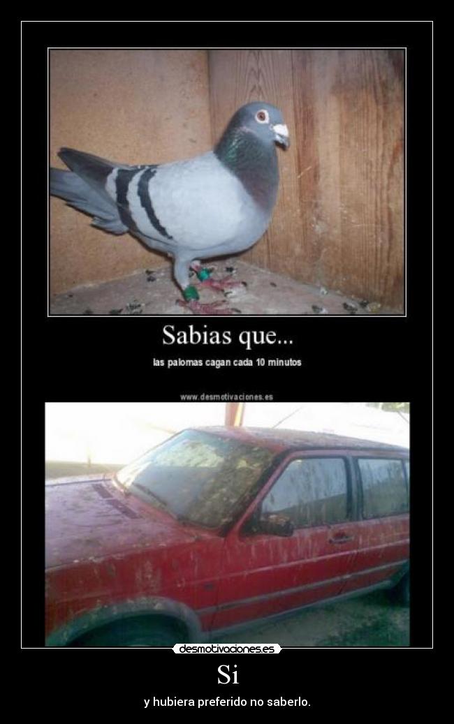 Si - y hubiera preferido no saberlo.