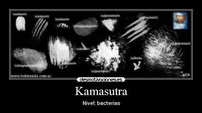 Kamasutra -