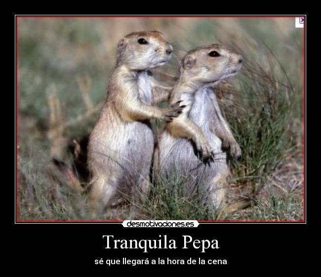 Tranquila Pepa - 