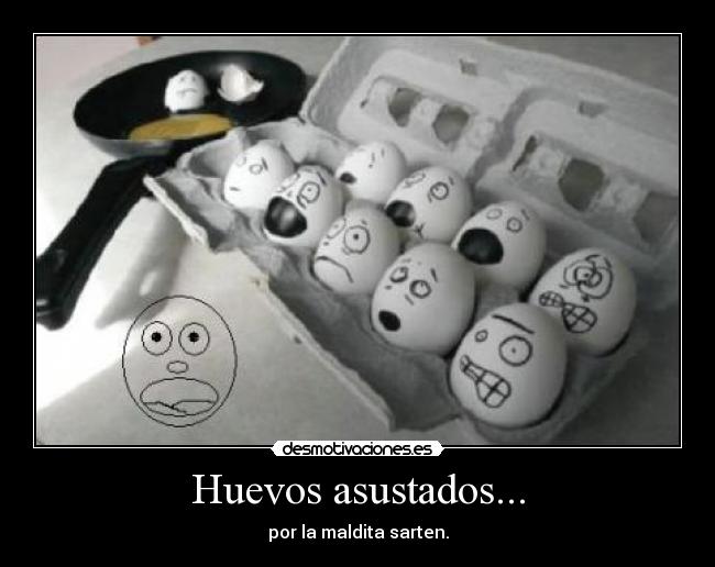 Huevos asustados... - 