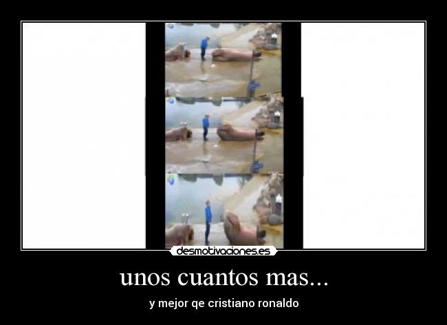 unos cuantos mas... -