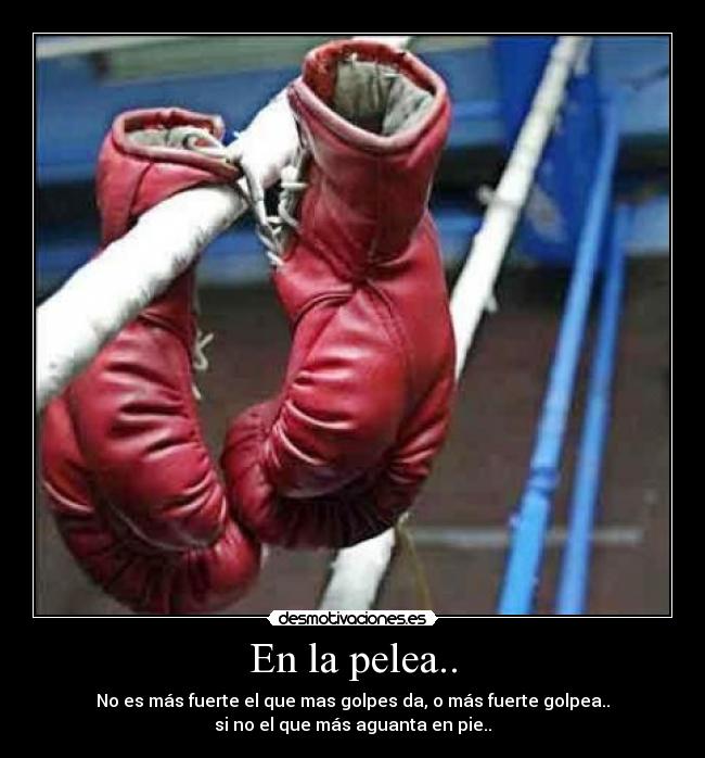 En la pelea.. -