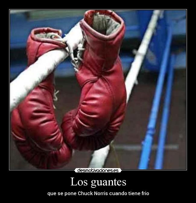 Los guantes - 