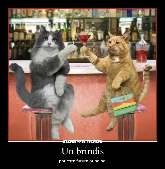 Un brindis - por esta futura principal