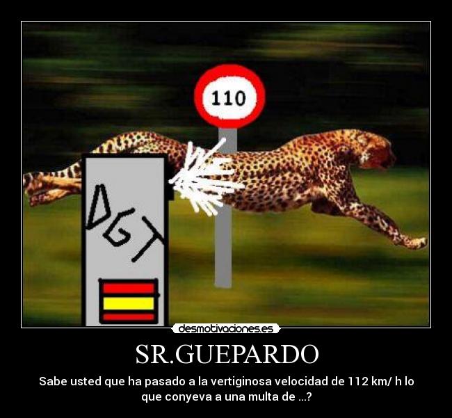 SR.GUEPARDO - Sabe usted que ha pasado a la vertiginosa velocidad de 112 km/ h lo
que conyeva a una multa de ...?