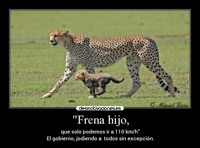 carteles gobierno jodiendo todos sin excepcion desmotivaciones