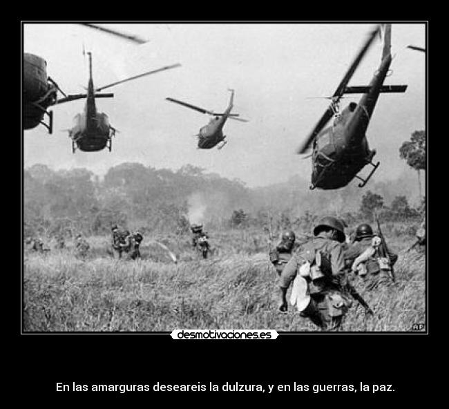    - En las amarguras deseareis la dulzura, y en las guerras, la paz.