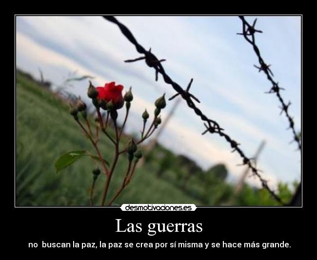 Las guerras - no buscan la paz, la paz se crea por sí misma y se hace más grande.