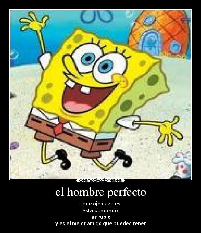 el hombre perfecto -