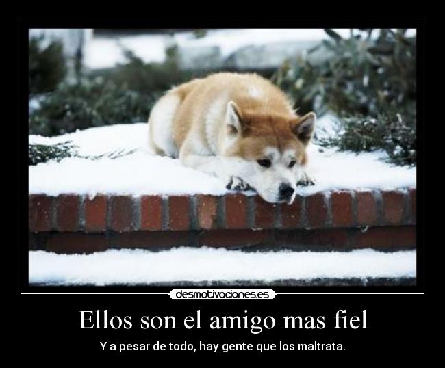 Ellos son el amigo mas fiel -