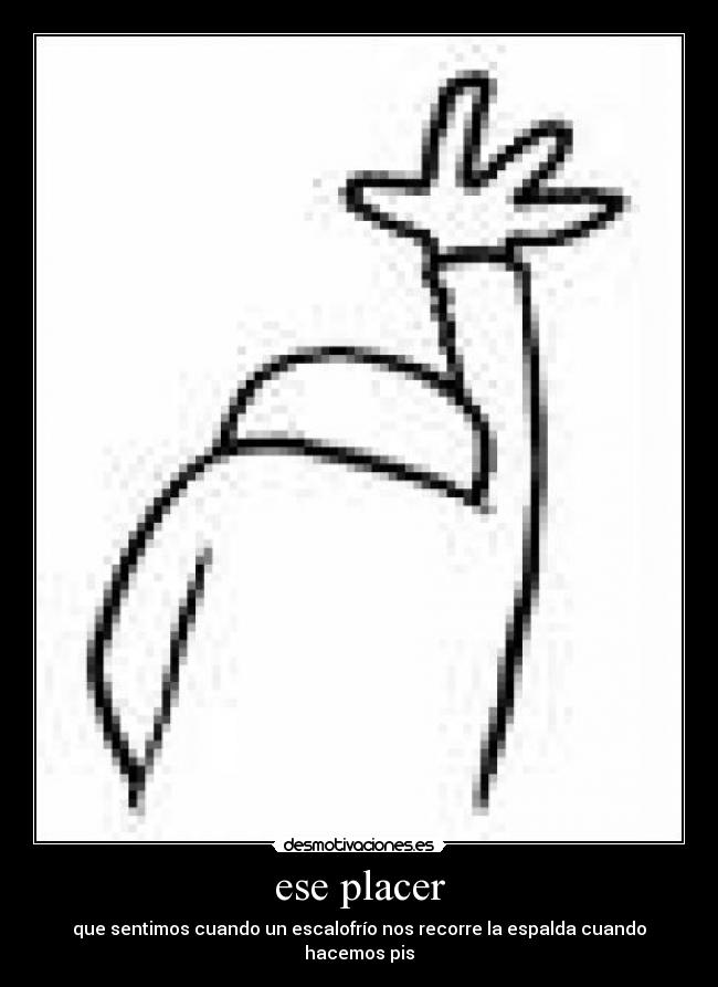 ese placer - que sentimos cuando un escalofrío nos recorre la espalda cuando hacemos pis
