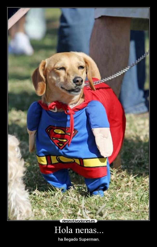 carteles superdog desmotivaciones