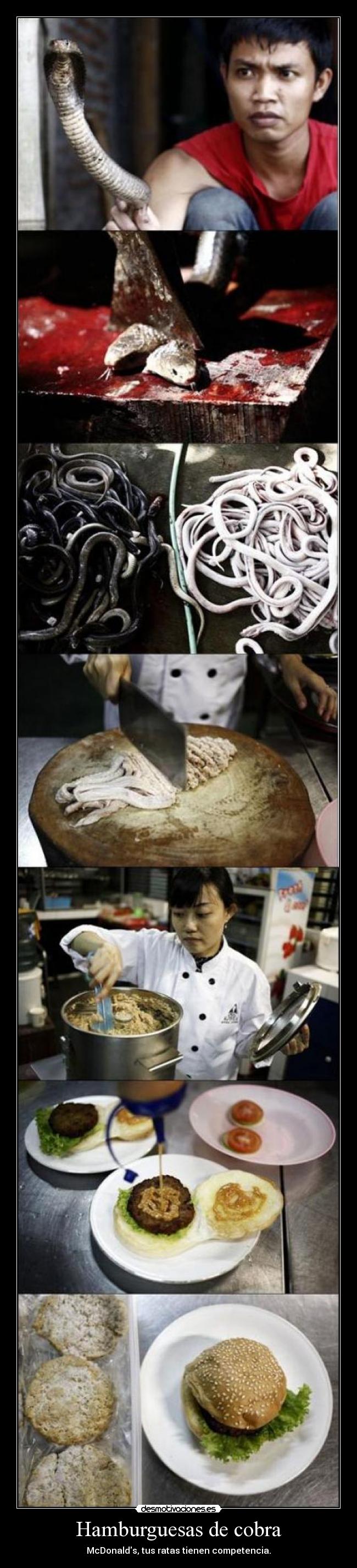 Hamburguesas de cobra - McDonalds, tus ratas tienen competencia.