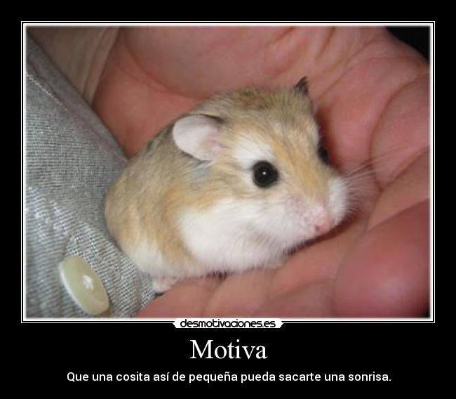 Motiva -