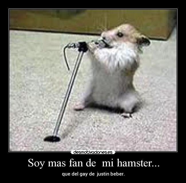 Soy mas fan de mi hamster... -
