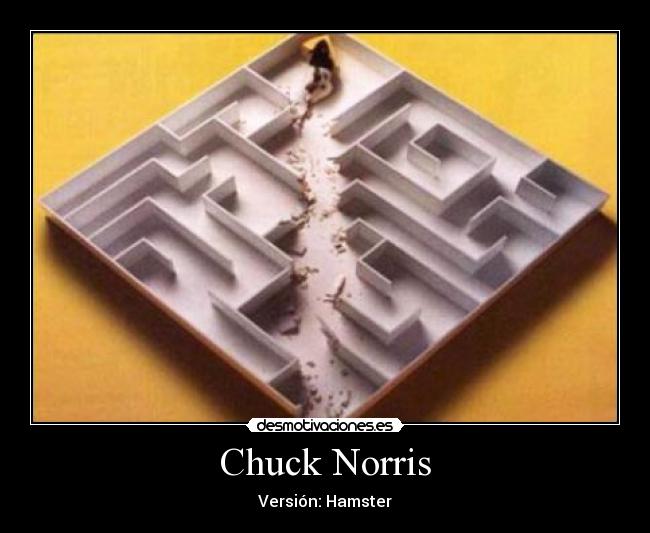 Chuck Norris - 