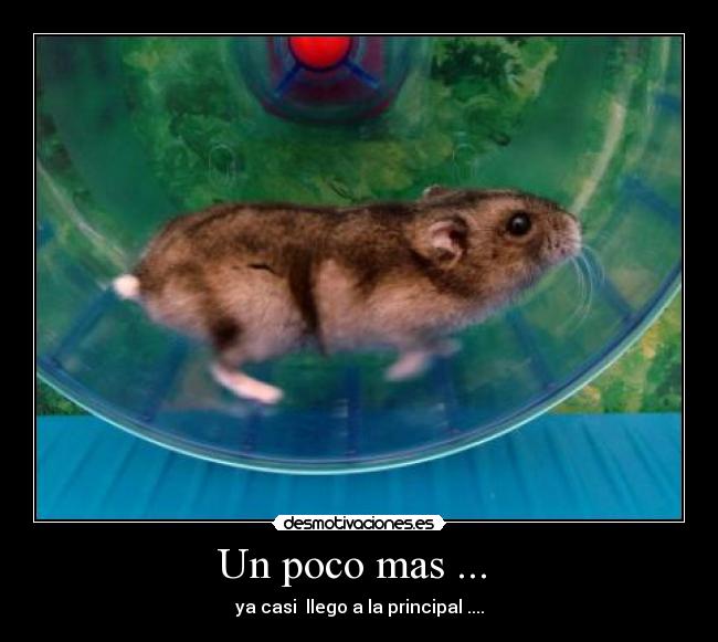 Un poco mas ... - ya casi llego a la principal ....