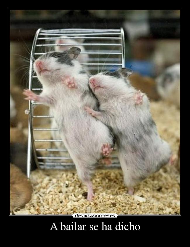A bailar se ha dicho - 