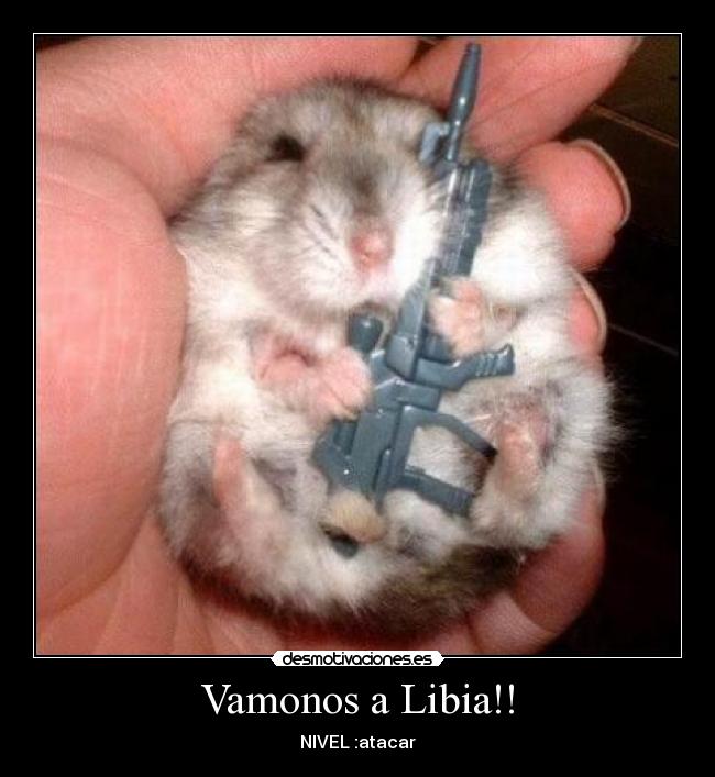 Vamonos a Libia!! -