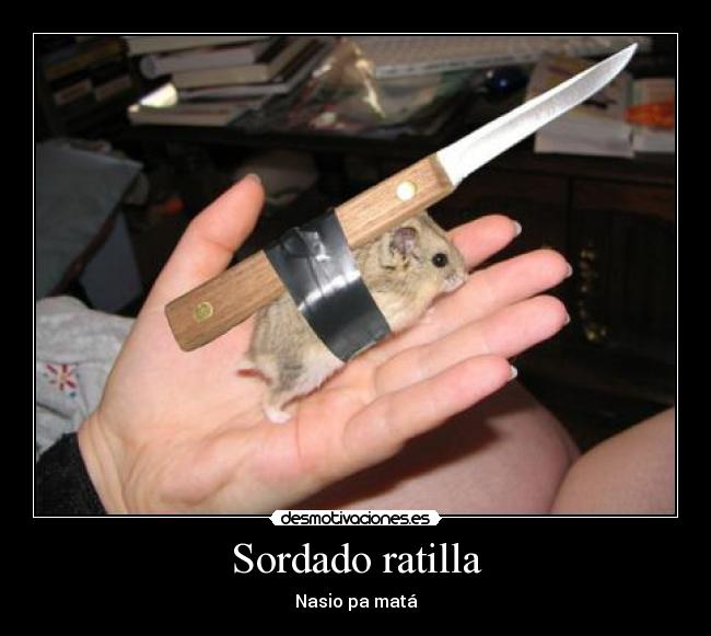 Sordado ratilla - 