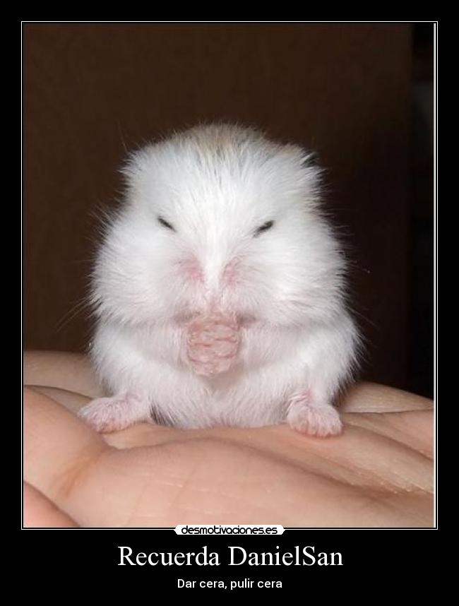 carteles recuerda danielsan desmotivaciones
