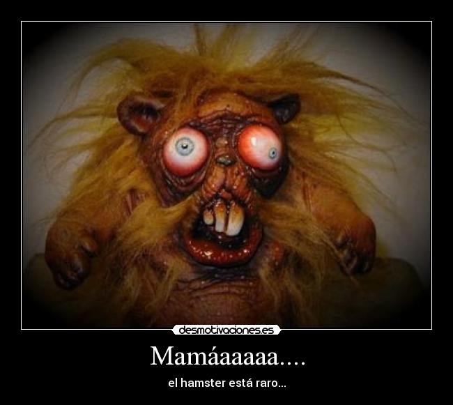 Mamáaaaaa.... - el hamster está raro...