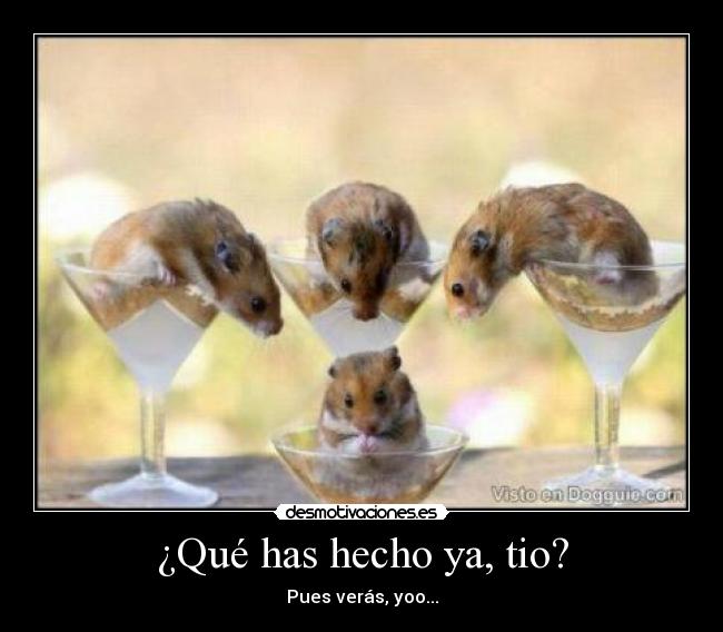 carteles hamster desmotivaciones