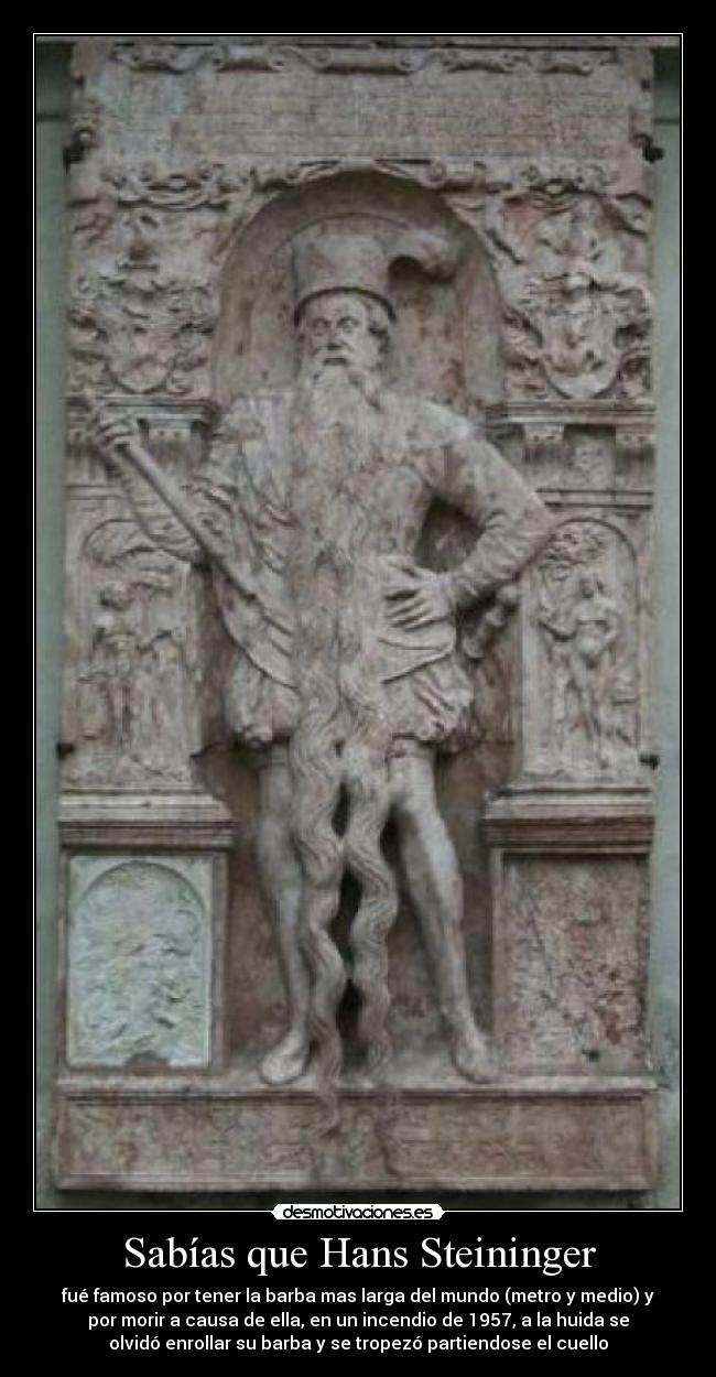 carteles hans steininger desmotivaciones