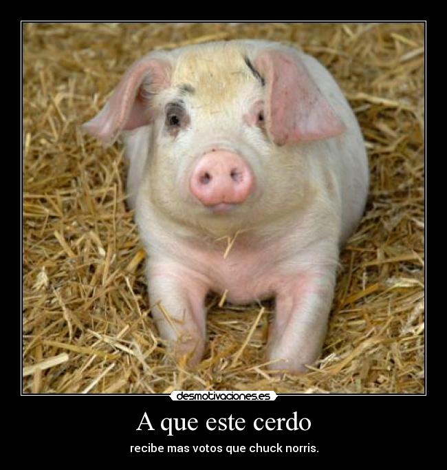 A que este cerdo -