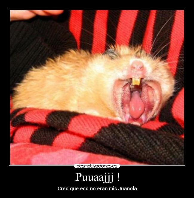 Puuaajjj ! - Creo que eso no eran mis Juanola