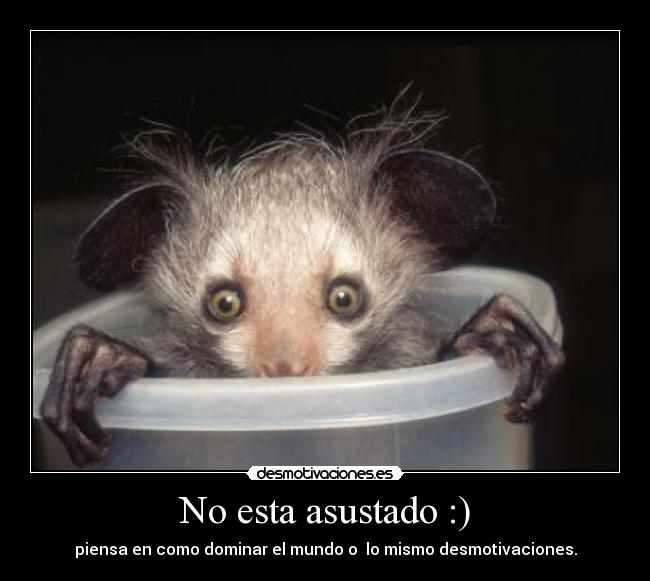 No esta asustado :) - piensa en como dominar el mundo o lo mismo desmotivaciones.