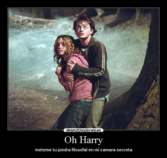 Oh Harry - 