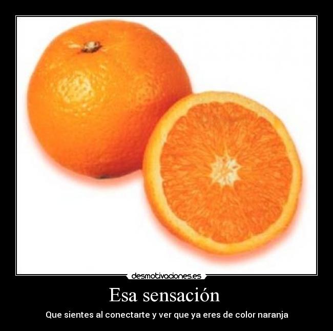 Esa sensación  - Que sientes al conectarte y ver que ya eres de color naranja